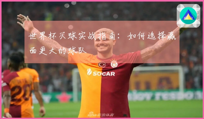世界杯买球实战指南：如何选择赢面更大的球队
