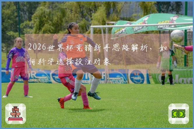 2026世界杯竞猜新手思路解析，如何科学选择投注对象