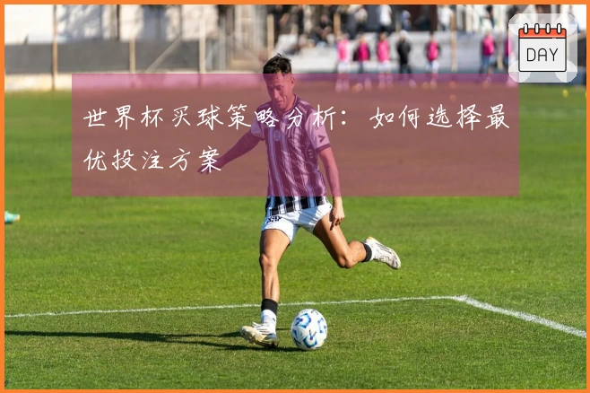 世界杯买球策略分析：如何选择最优投注方案