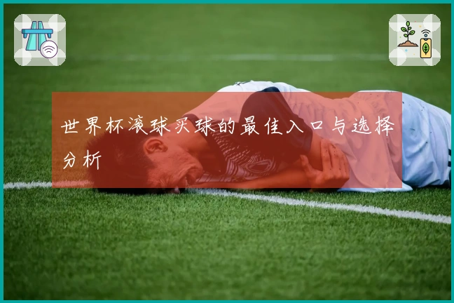世界杯滚球买球的最佳入口与选择分析