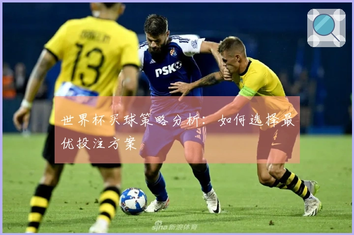 世界杯买球策略分析：如何选择最优投注方案