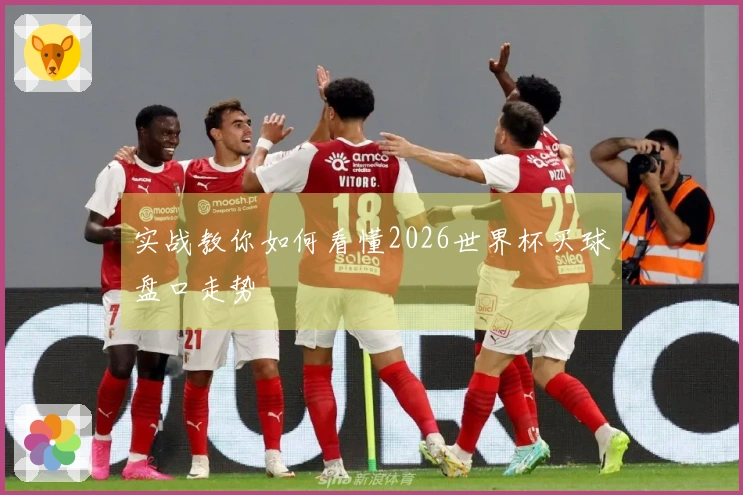 实战教你如何看懂2026世界杯买球盘口走势