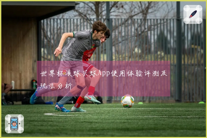 世界杯滚球买球App使用体验评测及玩法分析