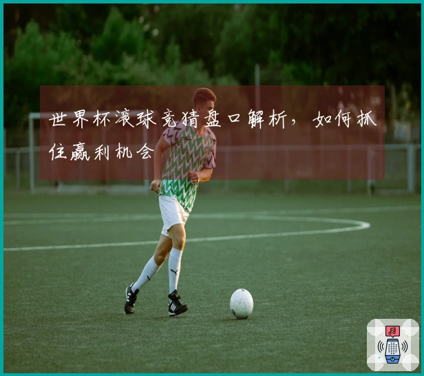 世界杯滚球竞猜盘口解析，如何抓住赢利机会