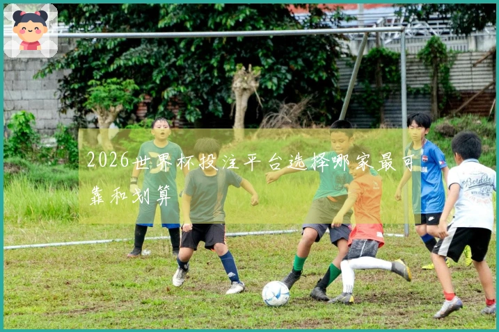 2026世界杯投注平台选择哪家最可靠和划算