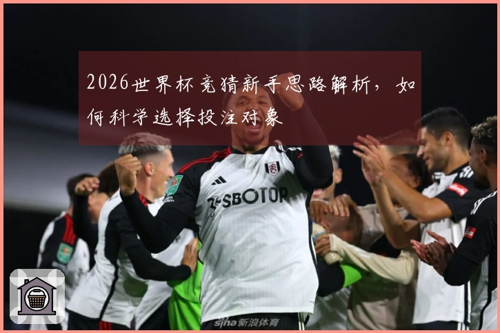 2026世界杯竞猜新手思路解析，如何科学选择投注对象