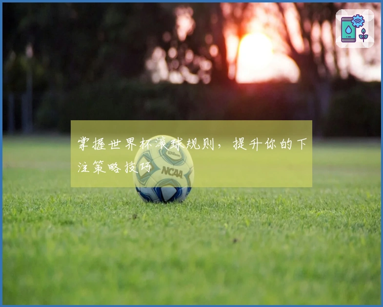 掌握世界杯滚球规则，提升你的下注策略技巧
