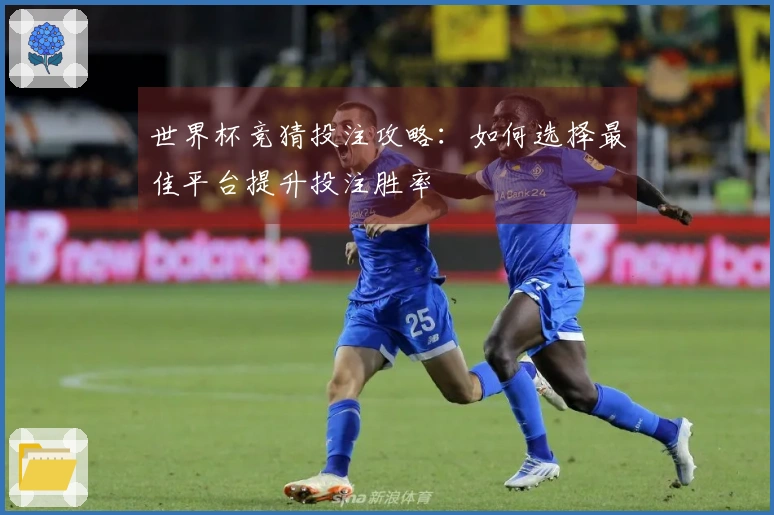 世界杯竞猜投注攻略：如何选择最佳平台提升投注胜率